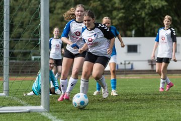 Bild 171 - wBJ VfL Pinneberg - Germania Schnelsen : Ergebnis: 15:1